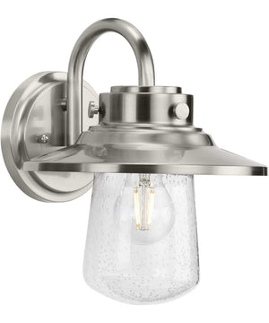 Tremont 1-Light Clear Seeded Glass Farmhouse Style Medium Outdoor Wall Lantern Stainless Steel