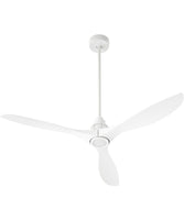 Ceiling Fans with Lights