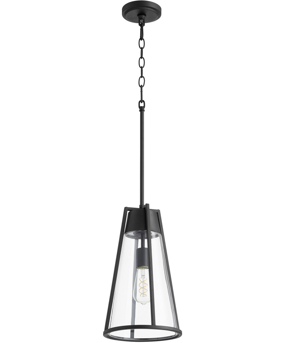 16"H 1-light Pendant Noir w/ Clear