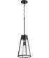 16"H 1-light Pendant Noir w/ Clear