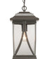 Abbott 1-Light Hanging Lantern Antique Bronze