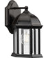 Dillard 1-Light Traditional Clear Glass Outdoor Wall Lantern Antique Bronze