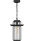 Randall Large 1-light Outdoor Pendant Light  Coastal Armour Aluminum Mottled Black