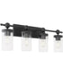 Tamara Day's Lee Boulevard 4-light Bath Vanity Light Matte Black