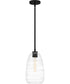 Quoizel Piccolo Pendant Small 1-light Mini Pendant Matte Black