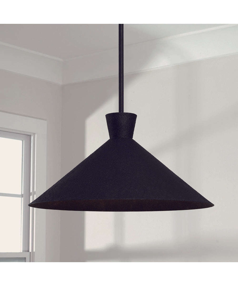 Paloma 1-Light Pendant Textured Black