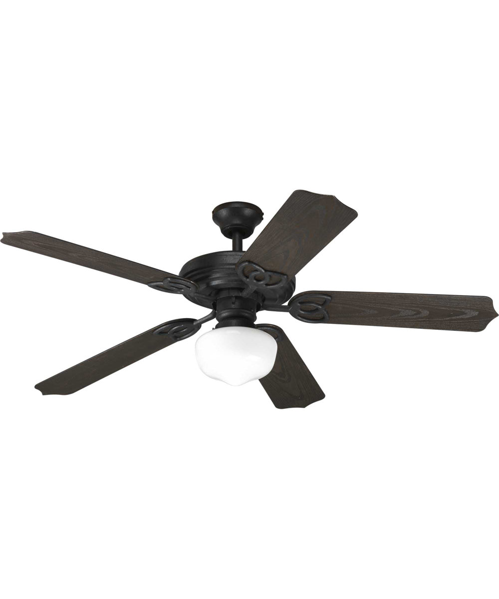 AirPro 1-Light Ceiling Fan Light Forged Black