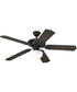 AirPro 1-Light Ceiling Fan Light Forged Black