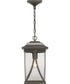 Abbott 1-Light Hanging Lantern Antique Bronze