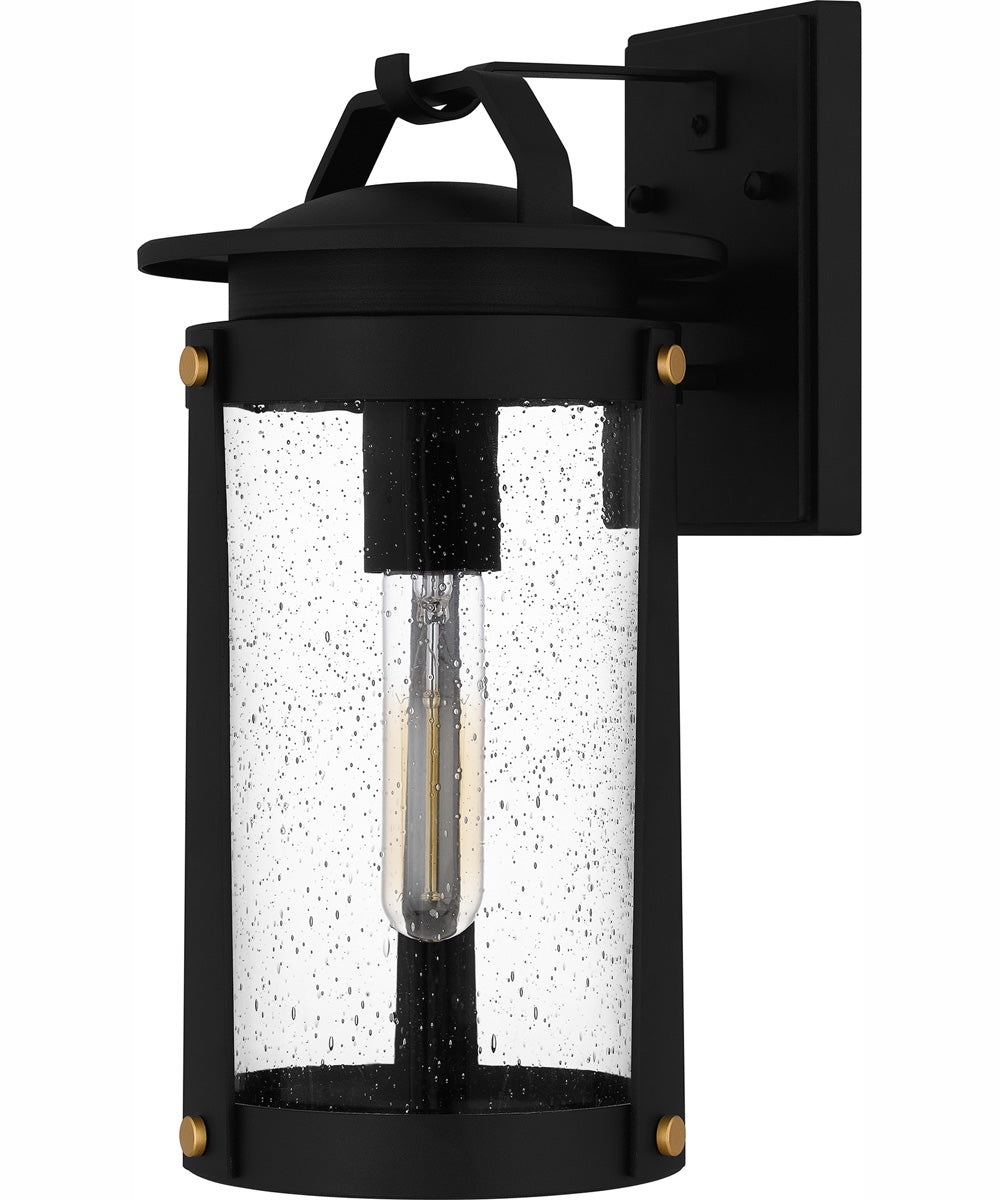 Clifton Medium 1-light Outdoor Wall Light  Coastal Armour Aluminum Earth Black