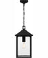 Fletcher Large 1-light Outdoor Pendant Light  Coastal Armour Aluminum Earth Black