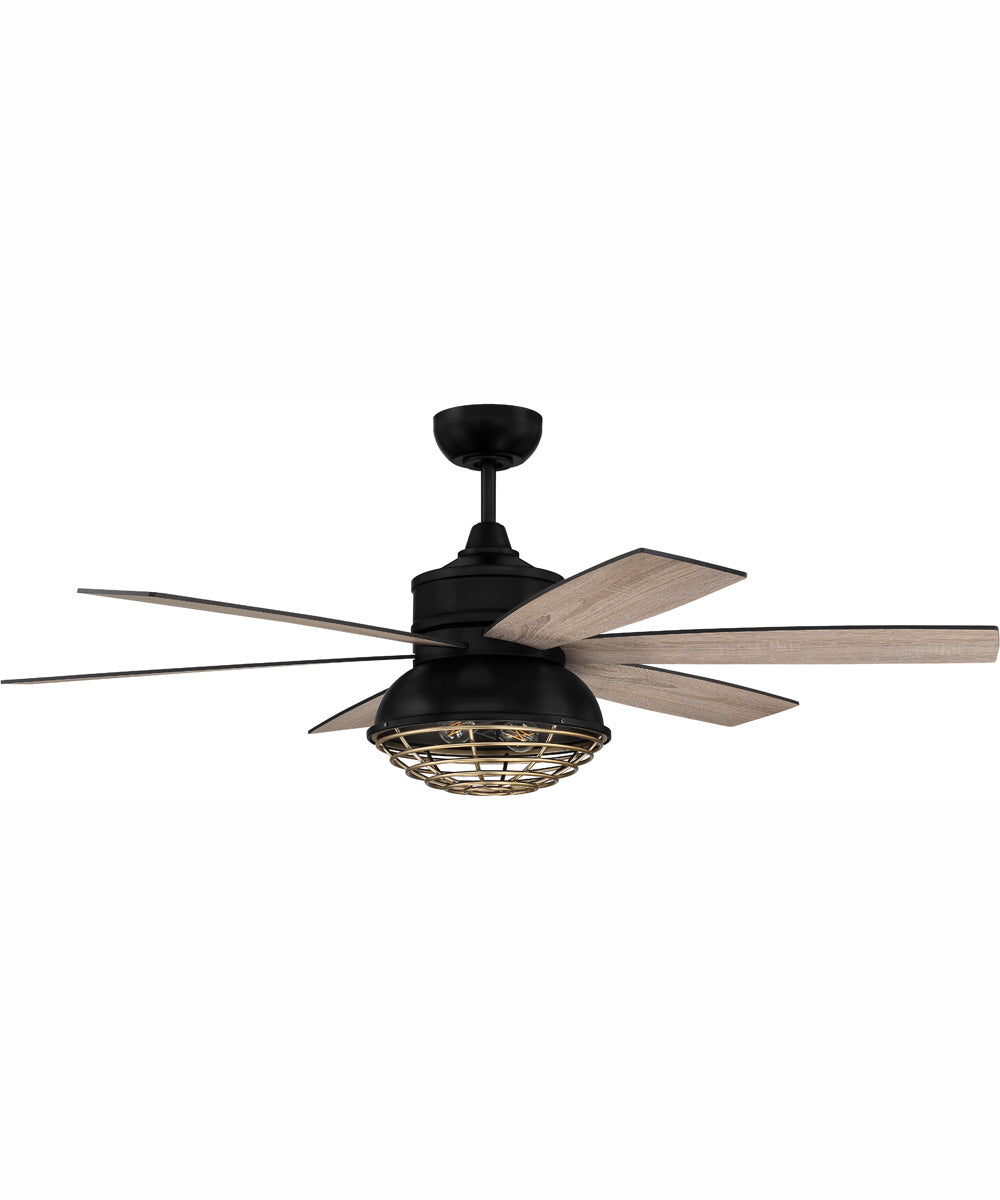 52" Rugged 2-Light Indoor/Outdoor Ceiling Fan Flat Black/Satin Brass