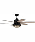 52" Rugged 2-Light Indoor/Outdoor Ceiling Fan Flat Black/Satin Brass