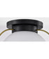 Lakeshore 1-Light Close-to-Ceiling Matte Black