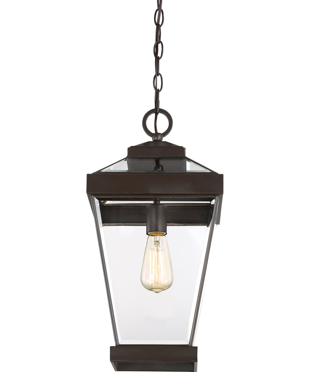 Ravine Small 1-light Mini Pendant Western Bronze