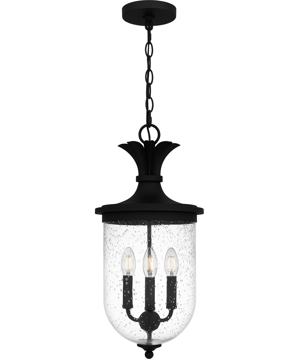 Havana Large 3-light Outdoor Pendant Light Earth Black