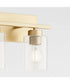 Carter 2-light Bath Vanity Light Aged Brass