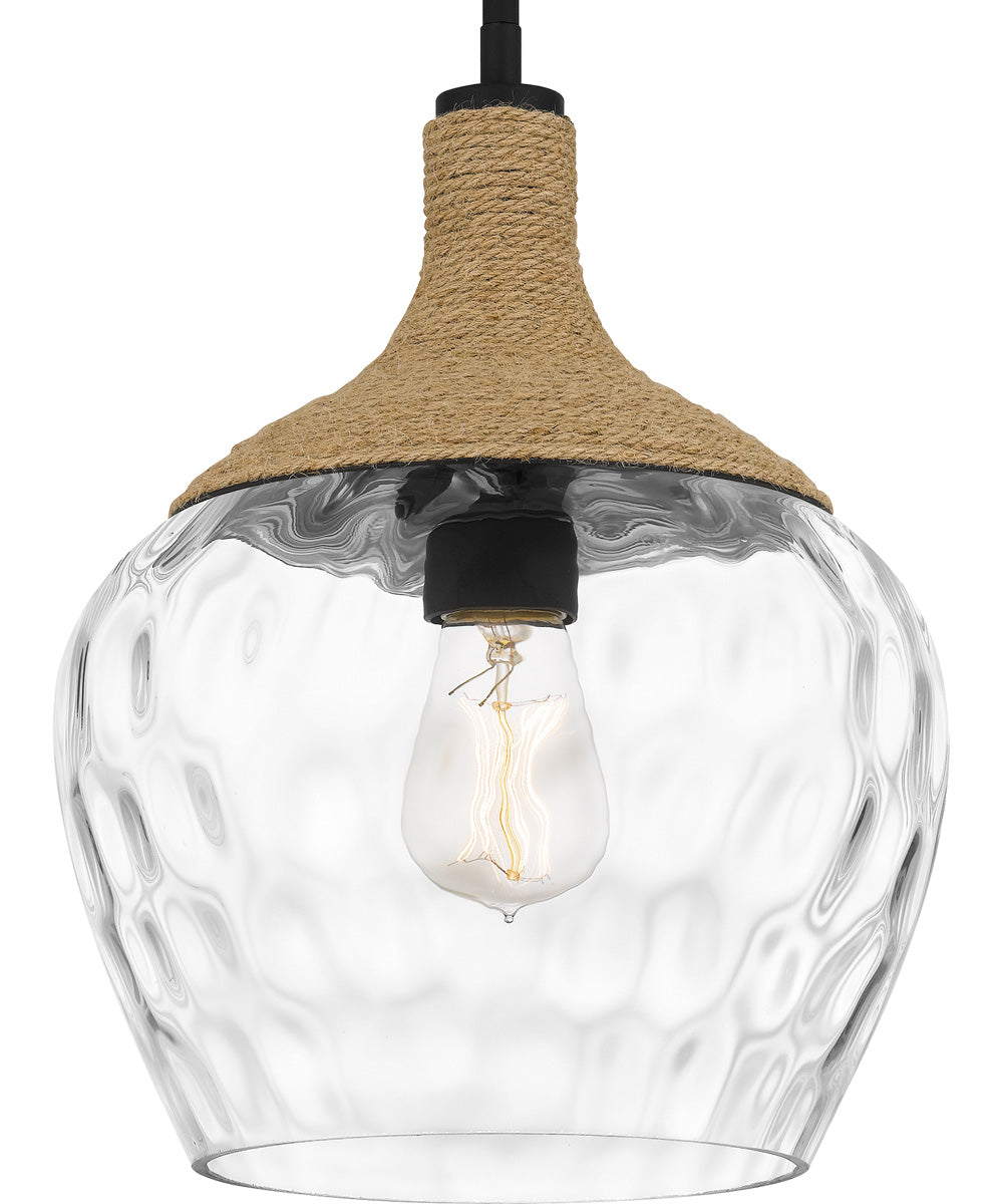 Quoizel Piccolo Pendant 1-light Mini Pendant Matte Black