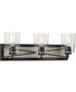 Briarwood 3-Light Clear Glass Coastal Bath Vanity Light Graphite