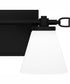 Daniels Medium Bath Light Matte Black