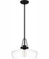 Quoizel Pendant 1-light Pendant Matte Black