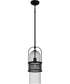 Quoizel Piccolo Pendant Small 1-light Mini Pendant Matte Black