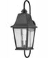 Kingston 2-Light Medium Wall Mount Lantern in Black