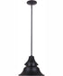 Union 1-Light Pendant Midnight