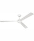 60" Sterling 1-Light Indoor/Outdoor Ceiling Fan White