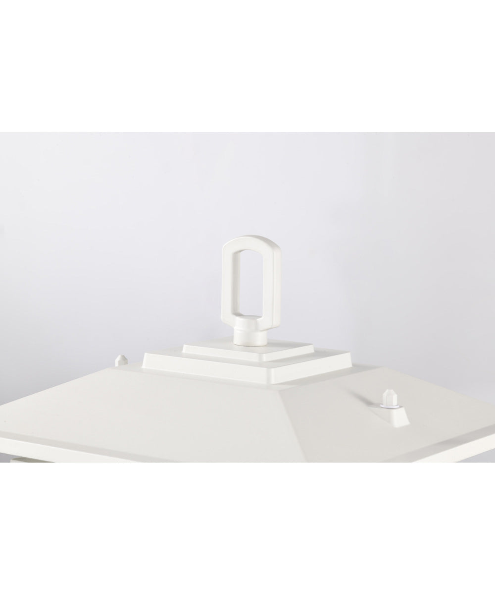 Cove Neck 1-Light Outdoor White