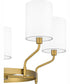 Parkington 5-light Chandelier Aged Brass
