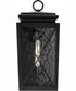 Wakeford 1-Light Transitional Outdoor Medium Wall Lantern Textured Black