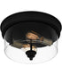 Cox 2-light Flush Mount Matte Black