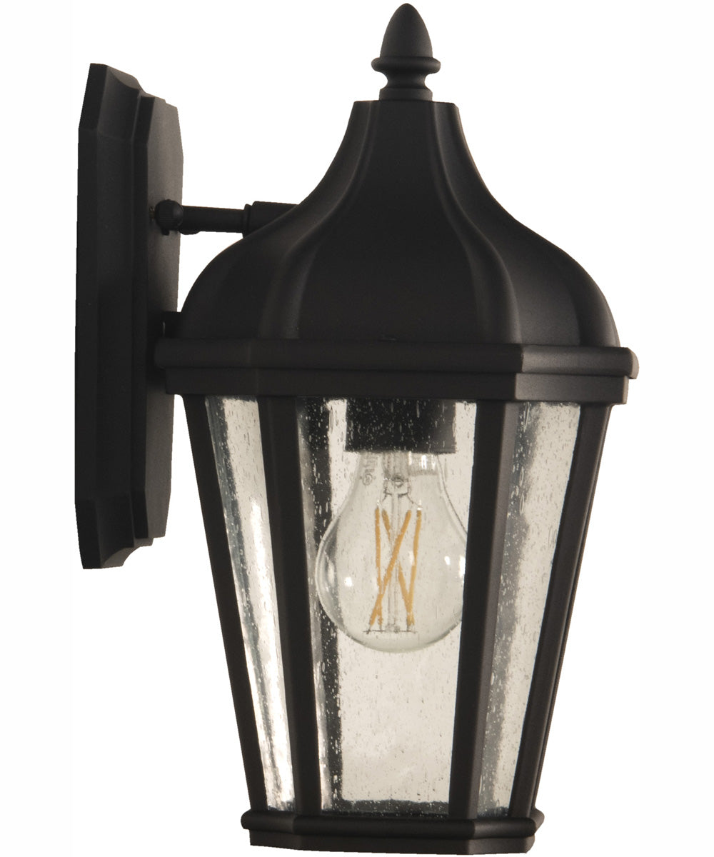 Briarwick 1-Light Outdoor Wall Lantern Matte Black