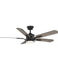 Ceiling Fans with Remotes