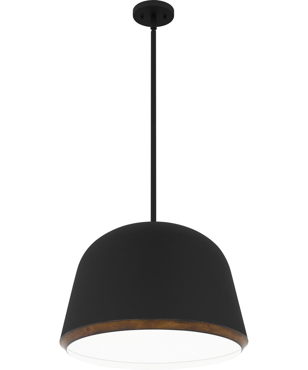 Tamara 4-light Pendant Matte Black
