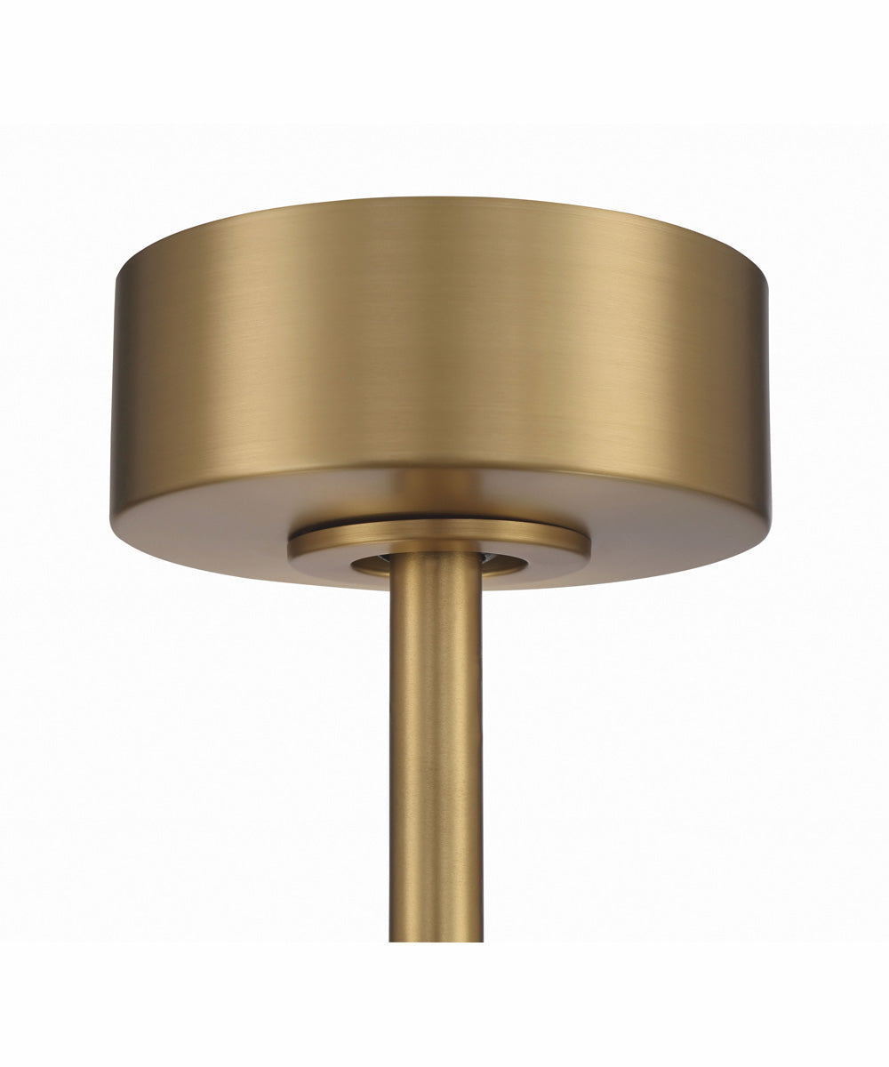 60" Phoebe 1-Light Indoor/Outdoor Ceiling Fan Satin Brass