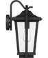 Darius Large 1-light Outdoor Wall Light  Coastal Armour Earth Black
