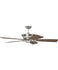 Ceiling Fans with Remotes