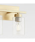 Carter 2-light Bath Vanity Light Aged Brass