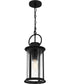 Tilmore Large 1-light Outdoor Pendant Light Matte Black
