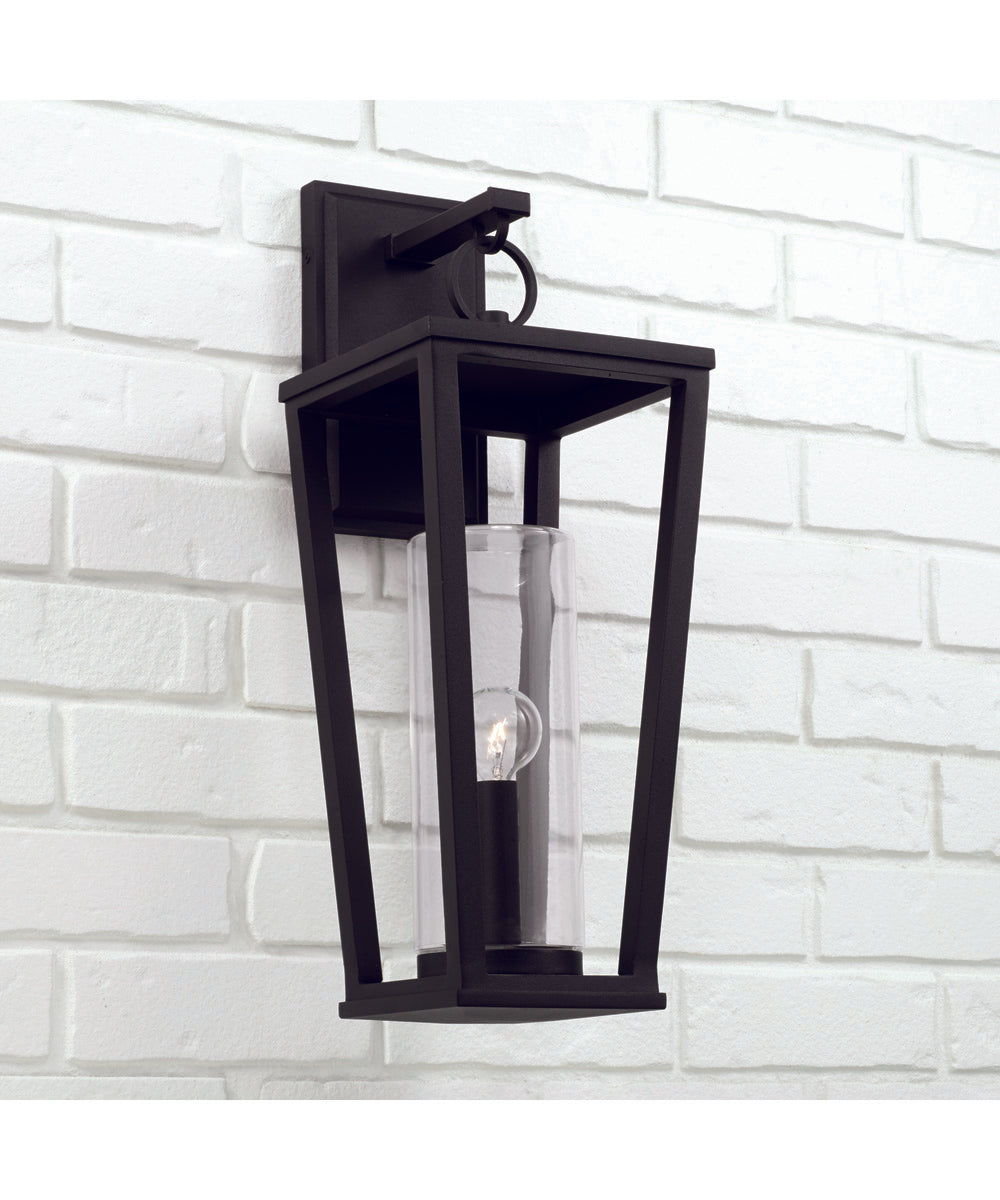 Elliott 1-Light Outdoor Wall-Lantern Rain or Shine - Black