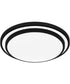 Irving  Semi Flush Mount Matte Black