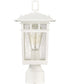 Cove Neck 1-Light Outdoor White