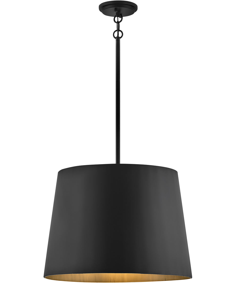 Alder 1-Light Medium Outdoor Hanging Pendant in Black