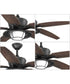 Montague 60" Indoor/Outdoor 5-Blade Ceiling Fan Forged Black
