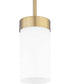 Elevate 1-Light Mini-Pendant Brushed Bronze