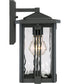 Everglade Small 1-light Outdoor Wall Light Earth Black