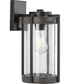 Whitmire  1-Light with Aged Oak Accents Clear Seeded Glass Farmhouse Outdoor Wall Lantern Light Matte Black