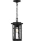 Uma Large 1-light Outdoor Pendant Light Matte Black